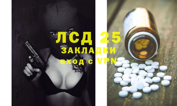 ПСИЛОЦИБИНОВЫЕ ГРИБЫ Арсеньев
