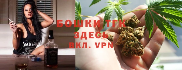 ПСИЛОЦИБИНОВЫЕ ГРИБЫ Арсеньев